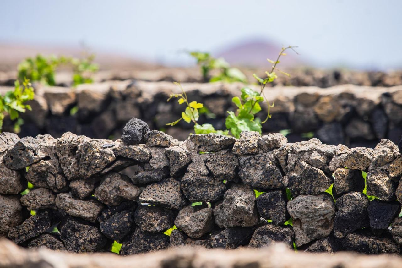 Eslanzarote Eco Dome Experience Otel Teguise  Dış mekan fotoğraf