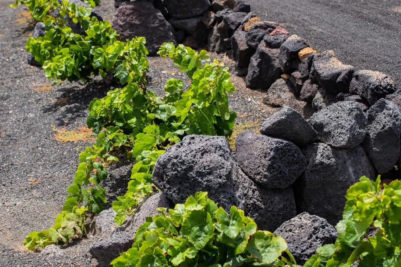 Eslanzarote Eco Dome Experience Otel Teguise  Dış mekan fotoğraf
